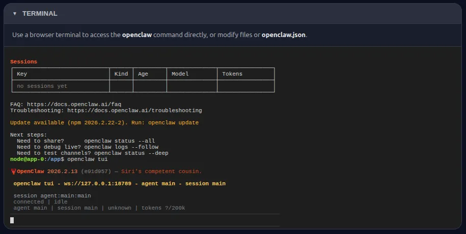 Browser terminal for OpenClaw
