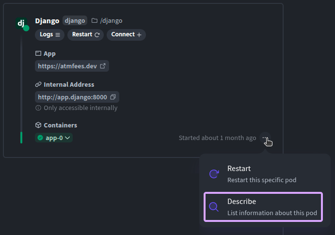 Pod describe action